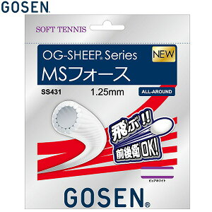 S[Z \tgejX Kbg I[W[V[v MStH[X sAzCg ejX  SS431PWH