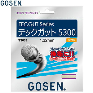 S[Z \tgejX Kbg TECGUT 5300 i` ejX  SS603NA