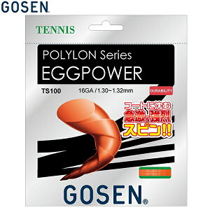 S[Z d ejX Kbg GbOp[ 16 1.30mm`1.32mm IW TS100OR