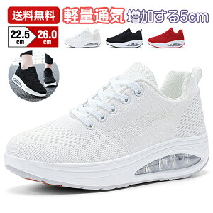 yzXj[J[ fB[X Y ^C V[Y [Jbg ubN JWAV[Y  y ʊw Xb| jOV[Y WjA ʋ X|[cV[Y 