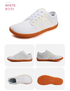 y₷IzEH[LOV[Y Xj[J[ fB[X bV L O WjA Y X|[c [Jbg ubN JWA  y ʊw Xb| j