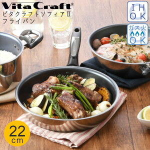 r^Ntg tCp 22cm IH KX Ȃ et \tBA2 V[Y łtȂ Lb`pi  V l炵   lC Vo[