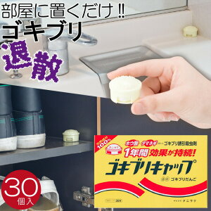 SLuLbv 30 SLu  u ^jTP ʂ˂ zE_ Y { ybsOΏۊOz