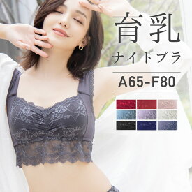 楽天市場 ナイトブラ 育乳の通販