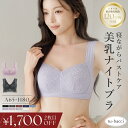 【最大20％OFFクーポン】お得な福袋も♪2点で7,180円⇒5,480円福袋 美乳ナイトブラ ナイトブラ 昼夜兼用 ブラジャー …