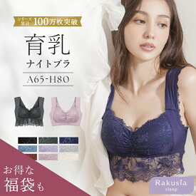 ナイトブラ 単品or2枚セット 【2枚セットは1枚あたり￥2,990】 昼夜兼用 授乳ブラ マタニティブラ 脇高 ブラジャー 大きいサイズ ノンワイヤー ラクシア ノンワイヤーブラ 授乳 レディース