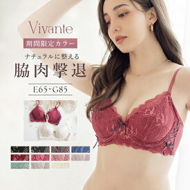 【最大28％OFFクーポン】 苦しくないソフト補正ブラ 脇高ブラ 大きいサイズ ピオニーレースブラ ブラジャー 補正下着 かわいい レディース 下着 vivante Eカップ Fカップ Gカップ 送料無料 【tu-hacci】