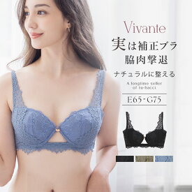 【最大20％OFFクーポン】vivante ブロドゥリーレースブラ / 補正ブラに見えない脇肉撃退ブラ大きいサイズ グラマーサイズ 大きいサイズ 補正 脇高 谷間 リフトアップ 盛れる 背中綺麗 レース ブラジャー 【tu-hacci】