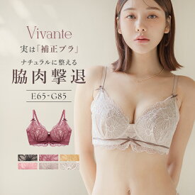 vivanteダリアレースブラ / 補正ブラに見えない脇肉撃退ブラ大きいサイズ グラマーサイズ ブラジャー モカ ピンク プラム ブラック EFGカップ 補正 脇高 谷間 盛れる 寄せ xmas【ブラ単品】【tu-hacci】