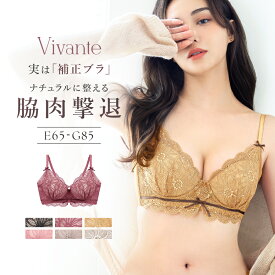 vivanteダリアレースブラ / 補正ブラに見えない脇肉撃退ブラ大きいサイズ グラマーサイズ ブラジャー モカ ピンク プラム ブラック EFGカップ 補正 脇高 谷間 盛れる 寄せ xmas【ブラ単品】【tu-hacci】