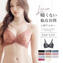 【福袋対象B】痛くない脇高谷間ブラ〜Leeneシリーズ〜 フルールシャワーカシュクールブラ補正ブラ 谷間 ブラ 補正下着 レディース インナー グラマーサイズ 大きいサイズ Eカップ Fカップ Gカップ ブラジャー単品 【tu-hacci】
