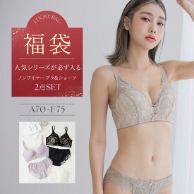 【昨年完売の人気福袋が遂に…！】ブラジャー福袋 2026《ブラ&ショーツ2本セット》デザイン・カラーおまかせ 【最大￥10,520⇒￥4,980！】 下着 インナー 上下セット ブラジャー レディース 補正下着 脇高 ノンワイヤー 谷間 ※クーポン利用不可【tu-hacci】