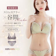 新作登場！《エアランジュ》ルリアンブラ＆ショーツブラジャー 上下セット ノンワイヤー ノンワイヤーブ…