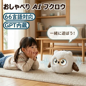 �_��������P10�{�^�ʂ������ ai �d�q�y�b�g �d�����{�b�g AI��b �ʂ������ ChatGPT���� ������ׂ胍�{�b�g ���{��Ή� 66���� ������b �q�� ����� �b������ 1200mAh Type-C�[�d �A�v���A�g �ǉ�