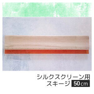 VNXN[p/XL[W/49-50cm/|X^[/(Aŉpi)