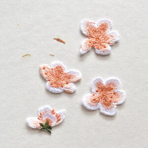 y4_Zbgẑԃby/ACЕt/hJ/ANZT[/|