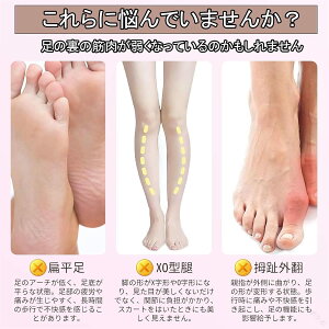 _CGbgT_ _CGbgXbp wg[jO 5{wA[`Xbp wLXbp ȒP ƌN rނݑ΍ ̊T|[g c{h fB[X􂦂鎺