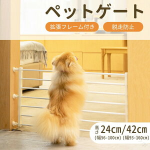 ybgQ[g ˂莮 xr[Q[g ֗p tFX Ki   L Eh~  hAt Z[teB  gt[t S݌v