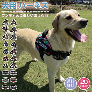  n[lX O  Pi  CjV ȒP h~ Ȃ ^ ^ ^ 킢 U o AEghA qh~ ʋC iC }WbNe[v nh