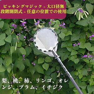 t[csbJ[ ʕ }؂΂ Lk } ʕnc[ sbLOc[ yʃx[sbJ[ ʎpt[csbJ[ }p|p K[fjOc[ K[fp