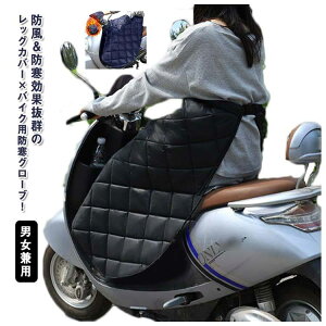 bOJo[ oCN h G| J΍ XN[^[ h h Ђ| O[ut {A ȓ bOEH[}[ hObY ۉ H jp uPbg Jo[