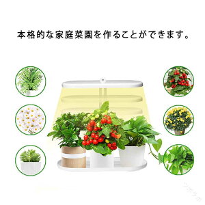 A琬Cg  LED A琬 ϗtA A琬 琬Cg A Cg k͔|Zbg ~J ~ ƕs ȃGl ؍͔|Zbg ƒpk͔| É A琬LEDCg 