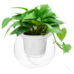 ����̎��ȎU���v�����^�[�|�b�g�A�ؔ� 2�w�̐��e��t�� �������ȑ����f�U�C�� �z�[���C���h�A�K�[�f�j���O �I�t�B�X�f�X�N�p�ϗt�A���� �ȃG�l�����@�\�t��