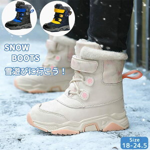 Xm[u[c LbY u[c ̎q j̎q ~ V {A N  g XL[ h hu[c WjA  ~p Xm[V[Y ʊw   킢 }W