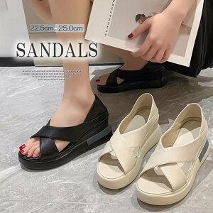 T_ i[XV[Y 8cmq[ő  ƕt ʋCQ EFbW\[ ~[T_ I[vgD yʂŔɂfUC