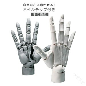 ȂX^htnhf lC`bvt 1/1  E R L  oCIjbNw֐ Aj fbTpf̔p tBMA zCg O[ XLJ[ f nh 