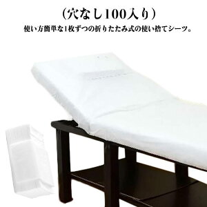 ĝăV[c `p y[p[V[c xbhV[c GXep 70×170cm h  悯 sDz 80×180cm fBX| 100 e@ Tp ڍ@ @ I@ ܂肽݃V[c GX