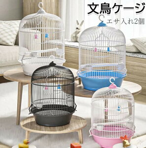 IJCR P[W ی^   GT2t o[hP[W nht  P[W  Ƃ肩 CeA  ^ѕ֗  P[W Zbg CRP[W ړ  