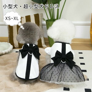  hX tH[} 傫{ DOt ^ ^ EȒP U o  tďH ybg hbOEFA LbgEFA L   ʋC K  _炩