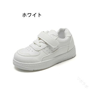 _XV[Y X|[c C  Xj[J[ LbY K n jp ^C y  ʋC hL ubN zCg  }WbNe[v JWA V[Y qC w ʉ 