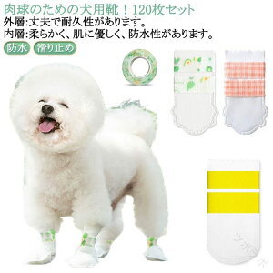 _炩  50Zbg LkSѕt 120 hbOu[c pC ی ʋCsDz C ~ y ĝ C ybgptbgJo[ h~ ĝău[c