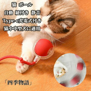 L {[   L{[  p{[ d ybg{[ 邮 Rt {[ É C^NeBu Type-c[d 360x][O s΍ XgX L