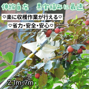 �t���[�c�s�b�J�[ �ʕ���� ���}�؂�΂��� �L�k�� ���}�� �s�b�L���O�c�[�� �ʕ��L���b�`���[ �y�� �x���[�s�b�J�[ �ʎ��p�t���[�c�s�b�J�[ �ʕ����n ���}�p ���|�p�� �K�[�f�j���O�c�[��