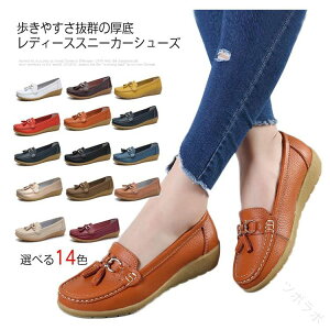 fB[X [t@[ EH[LOV[Y Iׂ14F×10TCY JWAV[Y {v Xb| vbgtH[ vC RtH[g p ^bZfUCŉ₷