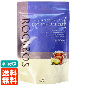 yElR|Xz̖ C{X A[OC eB[obO 40TB C{XeB[