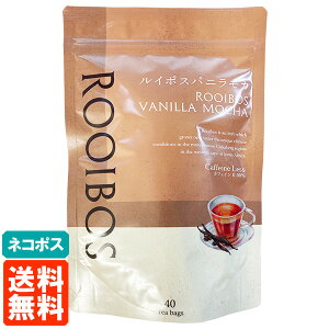 yElR|Xz̖ C{X ojJ eB[obO 40TB C{XeB[