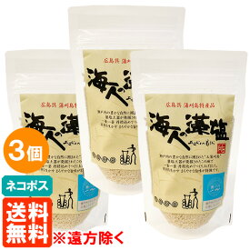 【3袋セット・送料無料】海人の藻塩 100g×3袋 スタンドパック あまびとのもしお ホンダワラ 海藻浸漬法藻塩 ネコポス