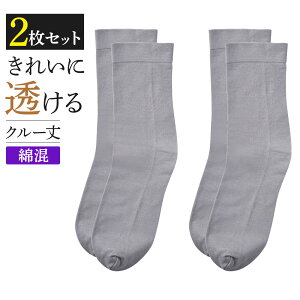 y܂ƂߔzO[ Tui C 2g fB[X \bNX N[ ȍ  nCQ[W ɂ  SABRINA 23-25 SQV602 SQV502 GUNZE