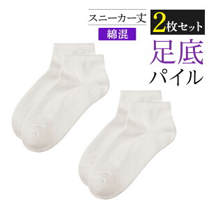 y܂ƂߔzO[ Tui C 2g fB[X \bNX Xj[J[ \100% ȍ nCQ[W pC҂  SABRINA 23-25 SQV604 SQV504 GUNZE