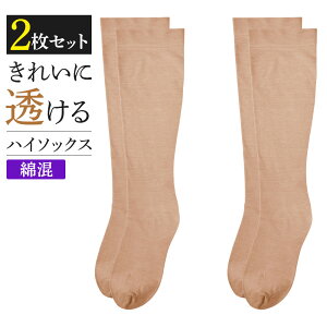 y܂ƂߔzO[ Tui C 2g fB[X nC\bNX Ђ \bNX ȍ  nCQ[W   SABRINA 23-25 SQV605 SQV505 GUNZE