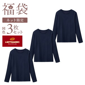  2026N O[ Ci[ ~  ȍ  3Zbg gbvX ujbg ۉ h M GUNZE zbg}WbN FK26L001 M L LL