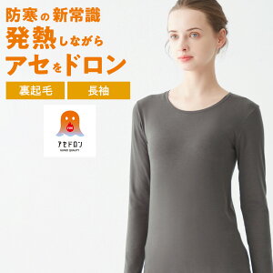 O[ t@C[AZh Ci[ fB[X H~ Ci[ ₦h~ z  ʋC  ̃jIC   wl   M Ci[ g  