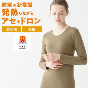 O[ t@C[AZh Ci[ fB[X H~ Ci[ ₦h~ z  ʋC  ̃jIC   wl   M Ci[ g  