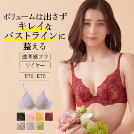 【SALE】 グンゼ ワイヤーブラジャー レディース トゥシェ 透明感 ブラ ワイヤーブラ 盛らないブラ 小胸 軽い レース ランジェリー 可愛い おしゃれ 下着 婦人 GUNZE Tuche JB3025H B75-E75 オススメブラ