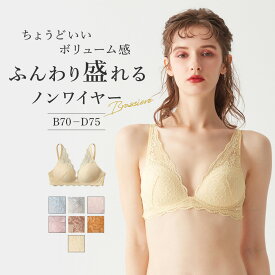 【SALE】グンゼ ブラジャー ノンワイヤー レディース レース 盛りブラ 盛れる 谷間メイク 谷間 バストアップ バストメイク 小胸 かわいい 可愛い 補正下着 補正ブラ 補正 産後 ブラ 下着 Tuche GUNZE JB6035EC