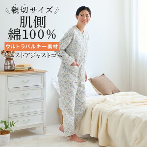 O[ wl fB[X pW} QԒ v`TCY Lg g  H~ GUNZE MP LP LLP TG4425